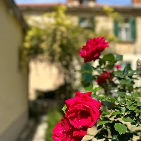 Bacvice Appartement